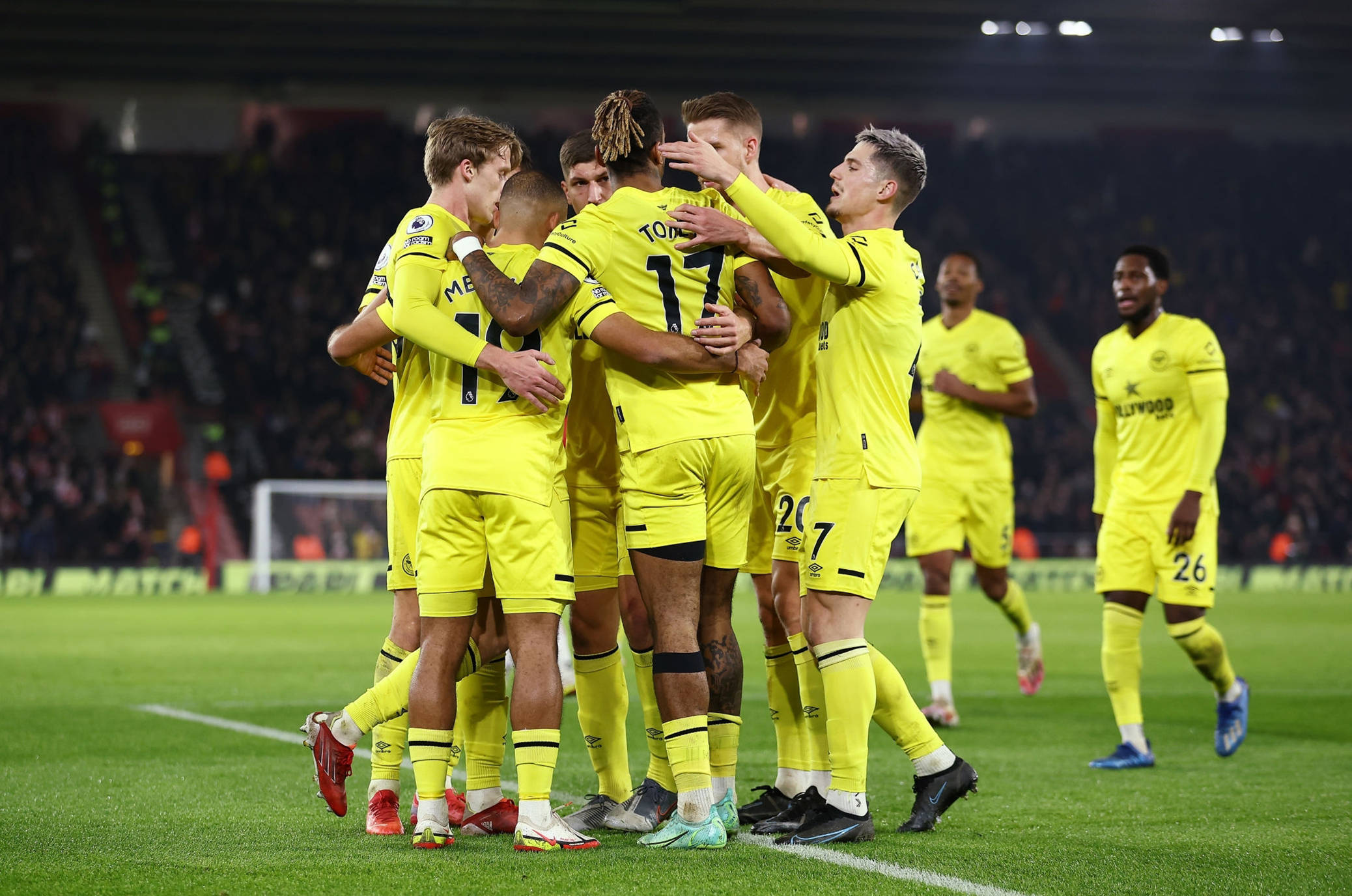 米特罗维奇 米特罗维奇